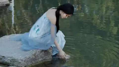 意大利博尔扎诺狗征税